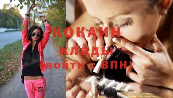 Альфа ПВП Алзамай