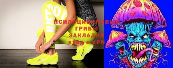 Альфа ПВП Алзамай